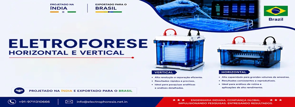 Gel Documentation Exports in Brazil