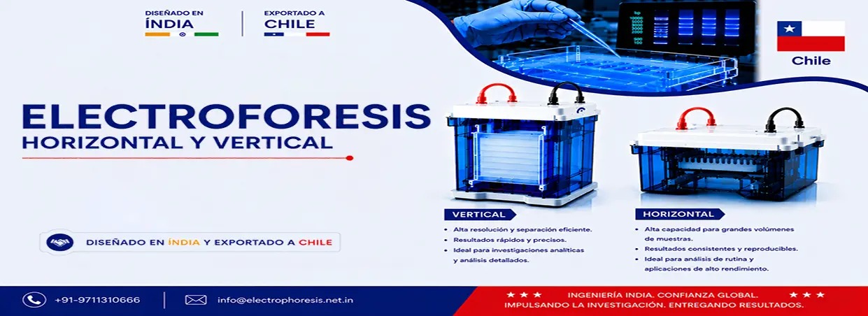Gel Documentation Exports in Chile