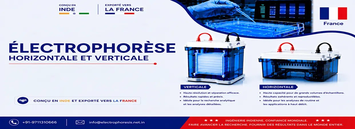 Gel Documentation Exports in France